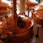 Krakow: Private Polish Beer Tasting Tour with a Beer-Expert - The Private Guide: Knowledgeable and Fluent in Several Languages