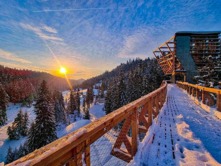Krakow: Zakopane, Mountains Treetop Walk & Thermal Baths - Relax in Natural Thermal Baths with Healing Mineral Water