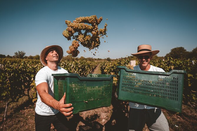 Krka Waterfalls & Wine and Cheese Tasting Tour from Split - Exploring Krka National Park’s Natural Wonders