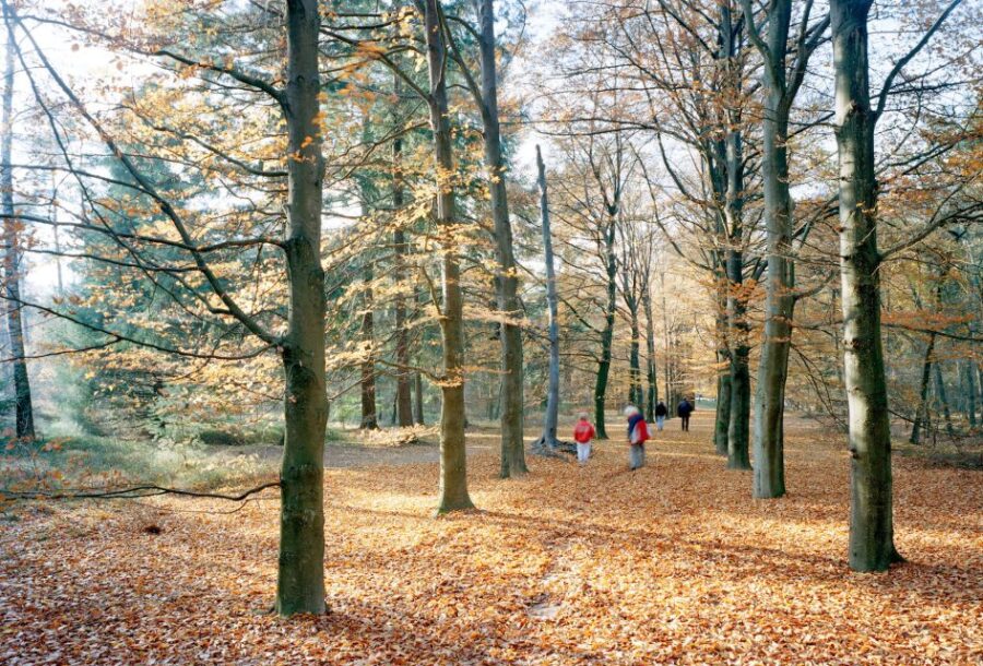 Kröller-Müller Museum Entrance Ticket - Exploring the Kröller-Müller Sculpture Garden