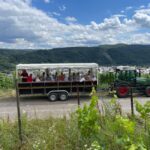 Kröv, Moselle: COVERED WAGON RIDE through the vineyards with wine tasting - Scenic Journey in a Covered Wagon through Kröv’s Vineyards