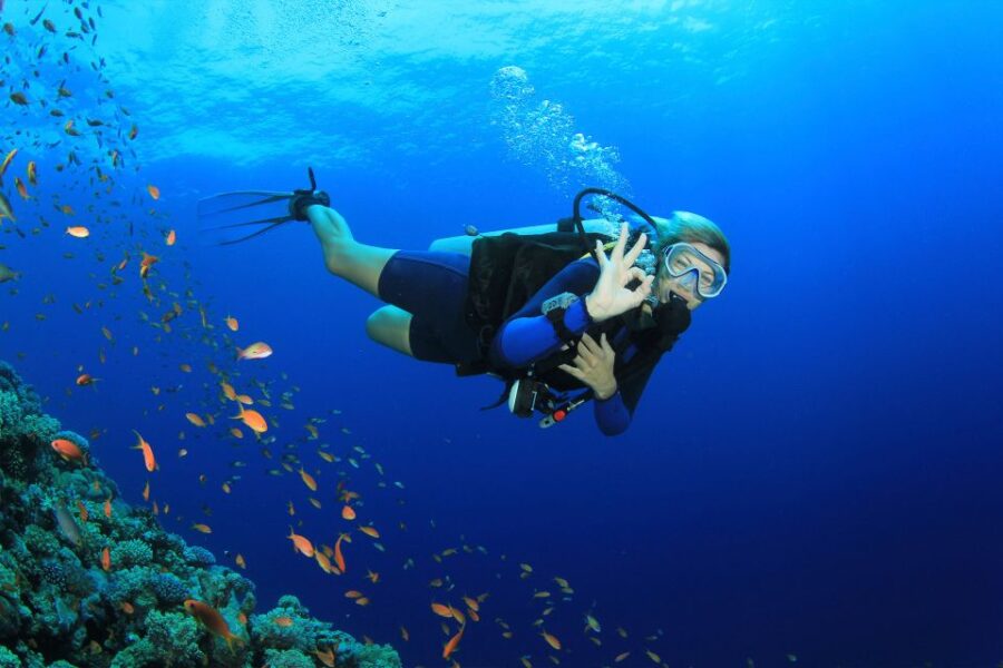 Kusadasi: Diving Experience with Lunch and Transfer - Exploring Kusadasi’s Coastal Waters