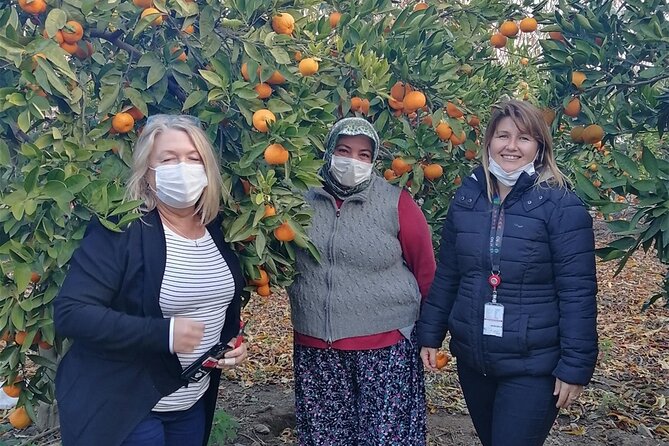 Kusadasi Port Private Ephesus Tour - Convenient Pickup at Kusadasi Port or Hotel