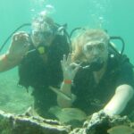 Kusadasi Scuba Diving - What Makes Kusadasi’s Marine Ecosystem Special