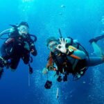 Kusadasi Scuba Diving - What the Dive Experience Entails in Kusadasi