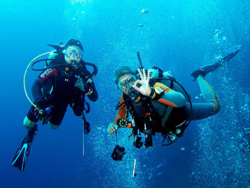 Kusadasi Scuba Diving - What the Dive Experience Entails in Kusadasi