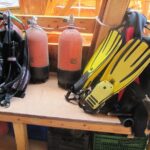 Kusadasi Scuba Diving Experience w/Instructor incl. Transfer - Starting Your Day in Kusadasi at 9:30am