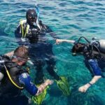 Kusadasi Scuba Diving Tour By Local Experts - Pickup and Drop-Off From Kusadasi Hotels