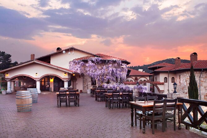 Kusadasi Shore Excursions Ephesus and Wine Tasting Tours - Exploring the Ancient City of Ephesus with Expert Guides