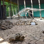 Kutaisi: Sataplia Natural Res. & Tetra Cave Wine Degustation - Sataplia Nature Reserve and Its Stunning Cave