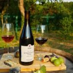 Kutaisi: Terjola Day Tour with Optional Lunch & Wine Tasting - From Kutaisi to the Historic House-Museum of Davit & Sergo Kldiashvili