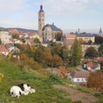 Kutná Hora and Bone church - private tour with PERSONAL PRAGUE GUIDE - The Gothic Splendor of St Barbara’s Cathedral
