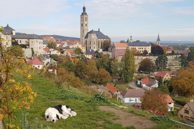 Kutná Hora and Bone church - private tour with PERSONAL PRAGUE GUIDE - The Gothic Splendor of St Barbara’s Cathedral