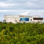 LA CAJA DE PANDORA - Starting Point and Tour Duration at BODEGAS PANDORA