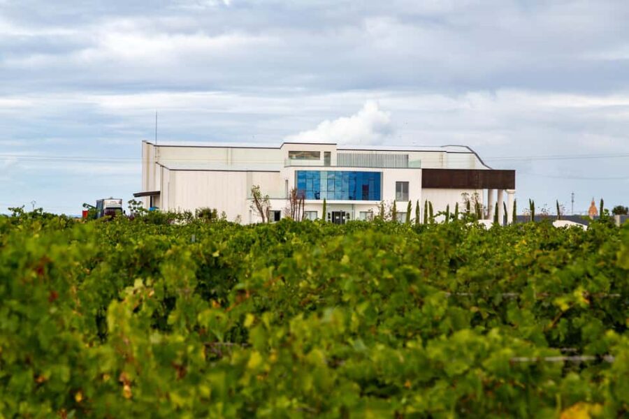 LA CAJA DE PANDORA - Starting Point and Tour Duration at BODEGAS PANDORA