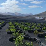 La Geria: a walk among volcanoes and vineyards - Climbing Guardilama for Panoramic Views
