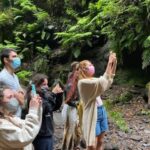 La Gomera: Garajonay National Park Entry Ticket and Tour - Starting Point at San Sebastián de La Gomera Bus Station