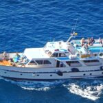 La Gomera: Whale Watching Tour on an Vintage Boat - La Gomera Whale Watching Aboard the Vintage Boat Tina