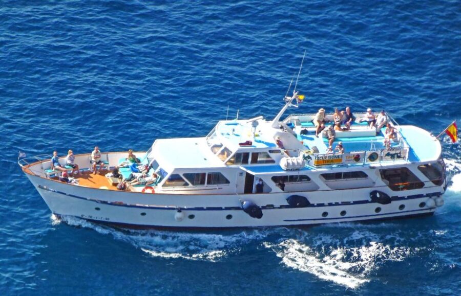La Gomera: Whale Watching Tour on an Vintage Boat - La Gomera Whale Watching Aboard the Vintage Boat Tina