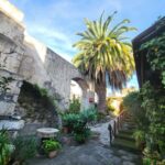 La Orotava: guided tour with gofio tasting, Los Molinos de la Villa - Visiting the Gofio Mill of Cubo Alto