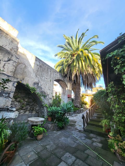 La Orotava: guided tour with gofio tasting, Los Molinos de la Villa - Visiting the Gofio Mill of Cubo Alto