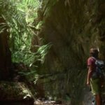 La Palma: Guided Trekking Tour To Cubo de la Galga - Exploring the 2-Million-Year-Old Laurisilva Forest