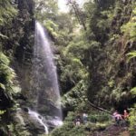 La Palma: North Island Bus Tour with Ron Aldea Distillery - La Palma: A Picture of Varied Landscapes and Microclimates