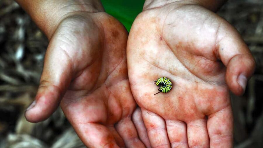 La Palma: PlatanoLógico Edible Forest Tour - How the Tour Explains Eco-Agriculture and Ecosystem Coexistence
