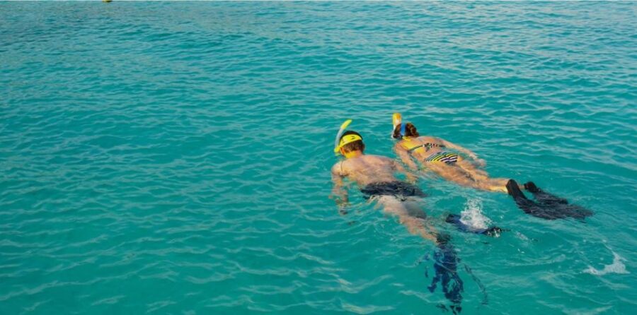 La Palma : Snorkeling Tour in Los Cancajos - What the Equipment Includes and How It Ensures Comfort