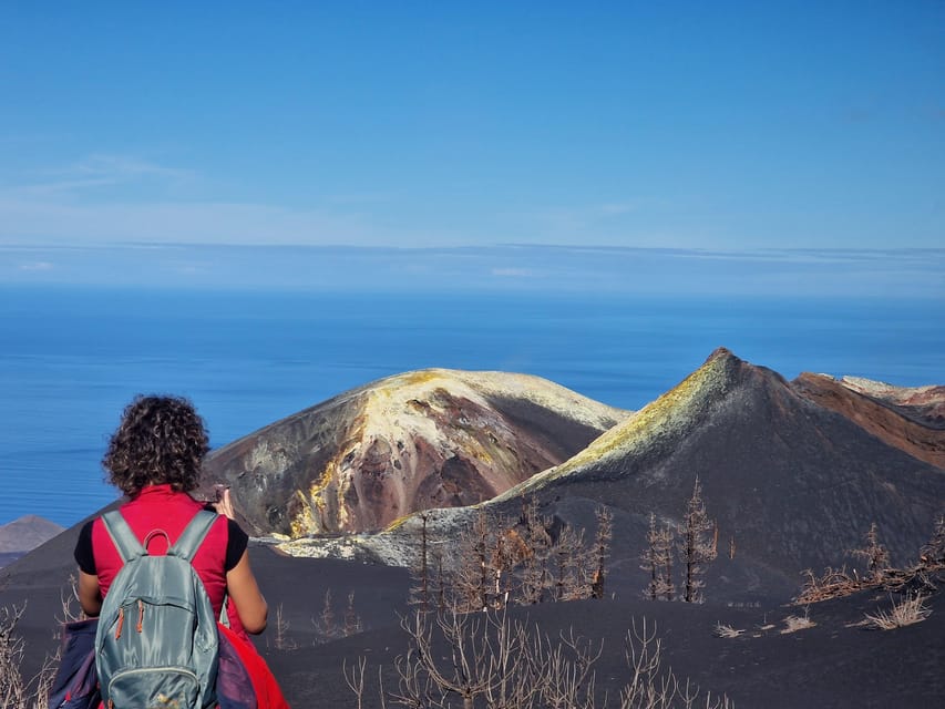 La Palma: Tajogaite Volcano Guided Trek - Starting Points and Transportation Logistics