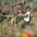 La Pieve: Walk with Donkeys in the Hills of Pisa - Starting Point at Donkeys Excursions Academy in Calci