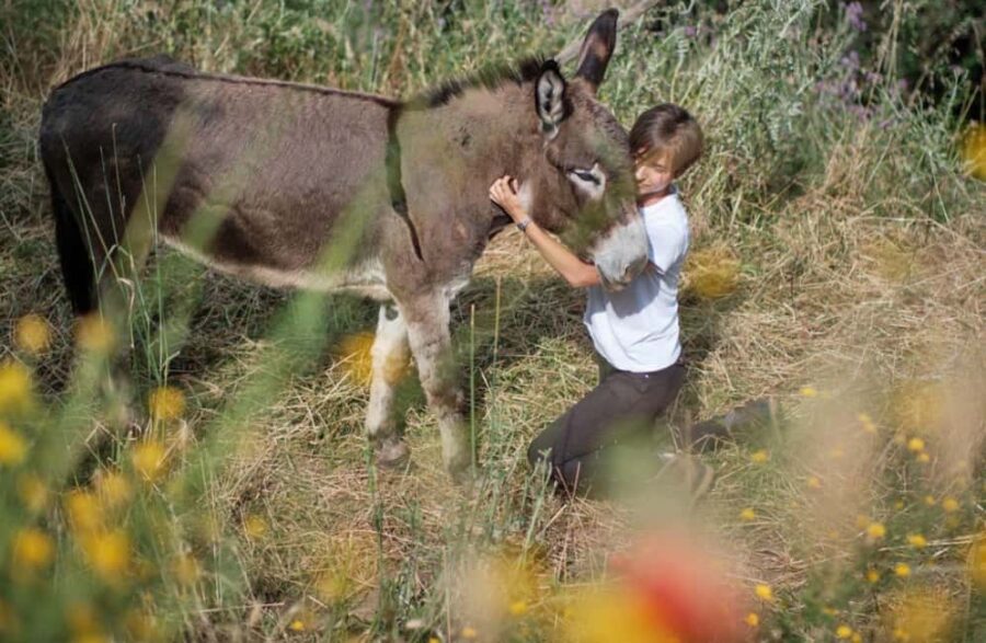 La Pieve: Walk with Donkeys in the Hills of Pisa - Starting Point at Donkeys Excursions Academy in Calci