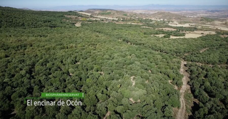 La Rioja: Organic Farm Tour & Spanish Ham Tasting with Wine - Starting Point: An Organic Farm in the Basque Country