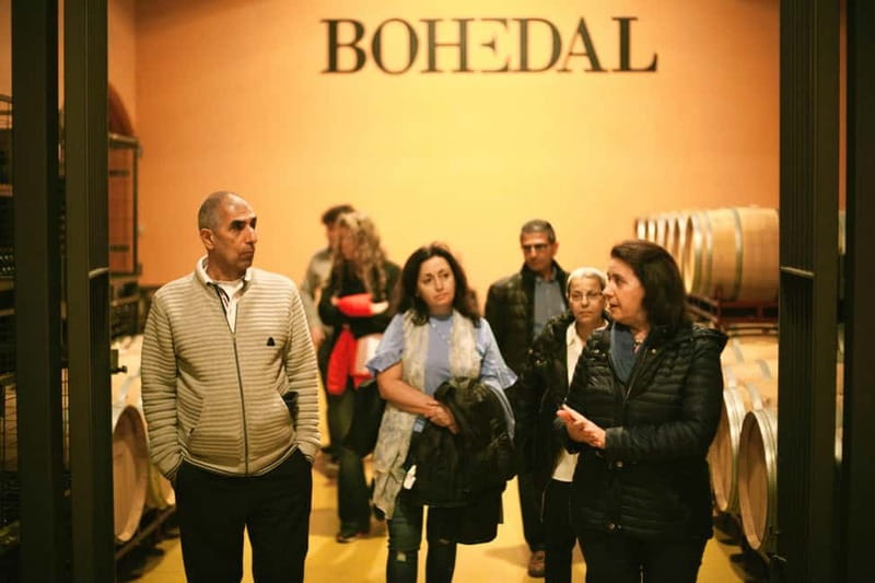 La Rioja: Winery Tour and 4-Course Meal with Wine Pairing - Exploring the Guided Winery Tour