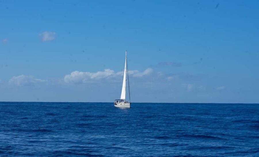 Lady Sunshine Luxury Boat Private Tour, 3, 4, 6 or 8 hours - The Luxury Yacht: Bavaria 55 Cruiser in Tenerife
