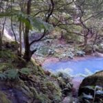 Lagoa do Fogo: Biologist-guided Volcano Geo Tour +Hotsprings - What Makes the Lagoa do Fogo Volcano Geo Tour Unique