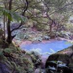 Lagoa do Fogo Guided Volcano Geo Tour w/ Hotsprings Bathing - An Overview of the Tour Starting Point and Timing