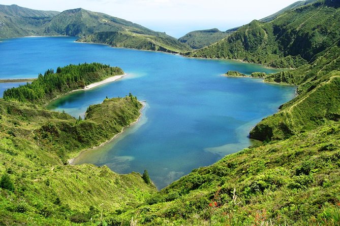 Lagoa do Fogo: Private Scenic Walking Tour - Walking Through Lush Forests: Eucalyptus, Australian Cheesewood, and Acacias