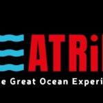 Lagos: Dolphin & Benagil Tour with Marine Biologist - How the Tour Combines Dolphin Watching and Coastal Caves