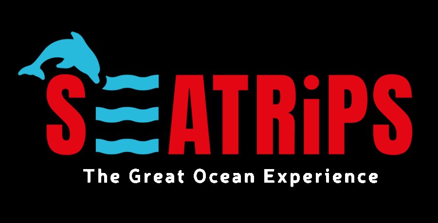 Lagos: Dolphin & Benagil Tour with Marine Biologist - How the Tour Combines Dolphin Watching and Coastal Caves