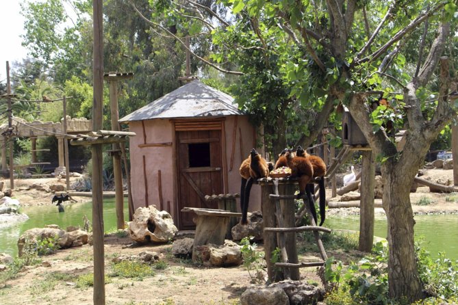 Lagos Zoo Admission Ticket - The Origins and Design of Lagos Zoo