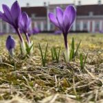 Lahemaa national park in Estonia - Visiting Jagala Waterfall, Estonia’s Largest