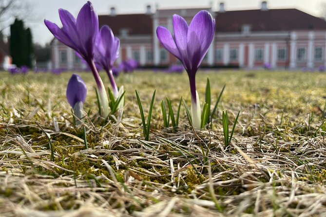 Lahemaa national park in Estonia - Visiting Jagala Waterfall, Estonia’s Largest