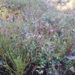 Lahti: Guided Nature Walk The Heart of The Swamp - Exploring the Linnaisten suo Nature Reserve