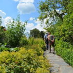 Lake District: Beatrix Potter Half-Day Tour - Windermere Lake Cruise: Relaxing with Panoramic Views