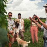 Lake Garda: Pic Nic in the vineyard with wine tasting - Discovering the Vineyard and Winery in Mischi