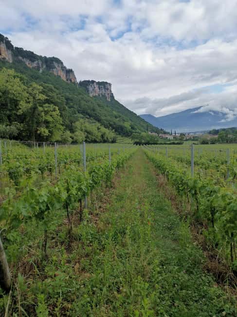 LAKE GARDA: VINEYARD AND WINERY TOUR - Starting at LE FRAGHE: A Historic Organic Winery in Bardolino