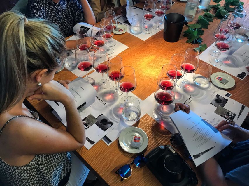 Lake Garda: Wine Tour and Tasting Experience in Bardolino - Visiting Tenuta La Cà: The Heart of the Wine Experience