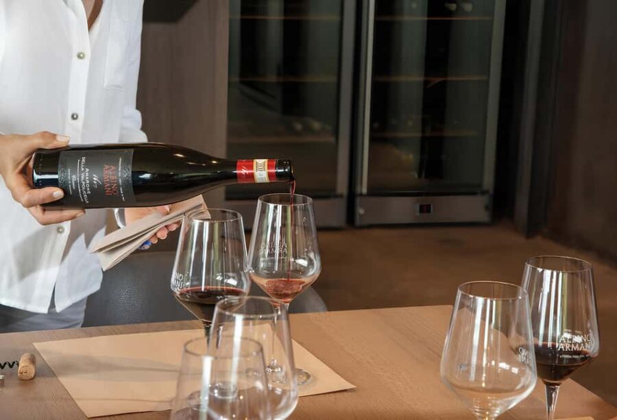 Lake Garda: Winery Tour and Wine Tasting in Valpolicella - Tour Logistics and Language Options