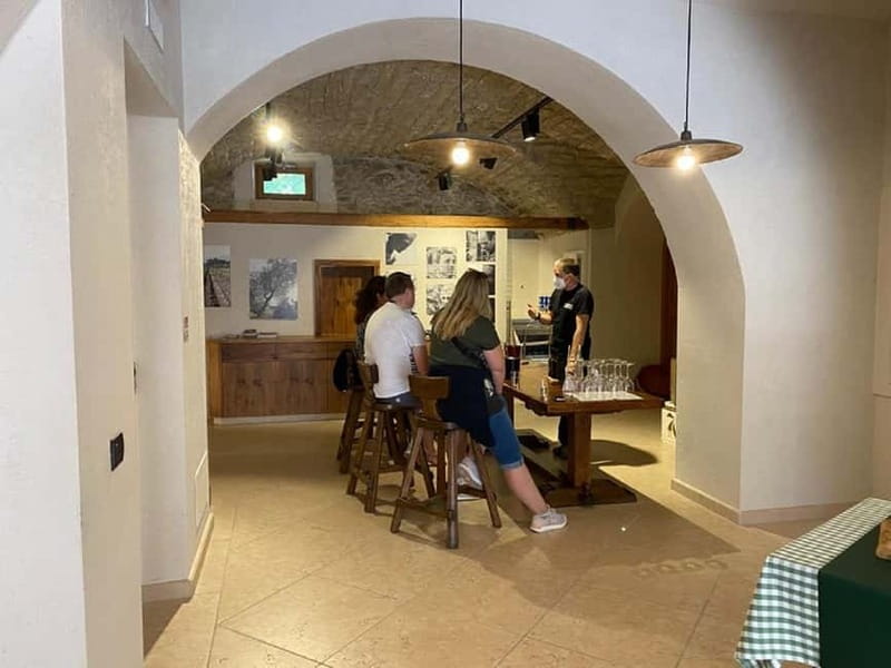 Lake Garda: Winery Visit with Wine and Olive Oil Tasting - Walk Through the Vineyards and Discover Local Agriculture